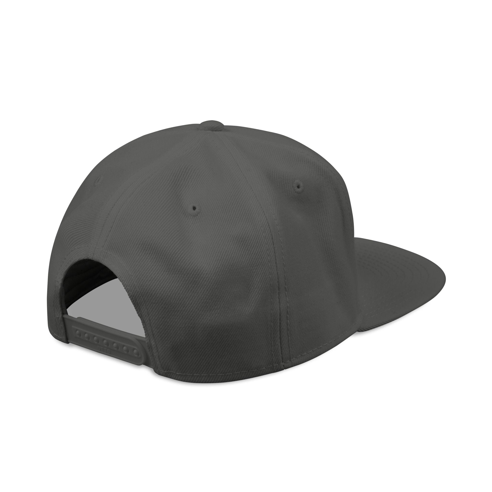 Embroidered Swinging 101 University Snapback Hat — Urban College-Style