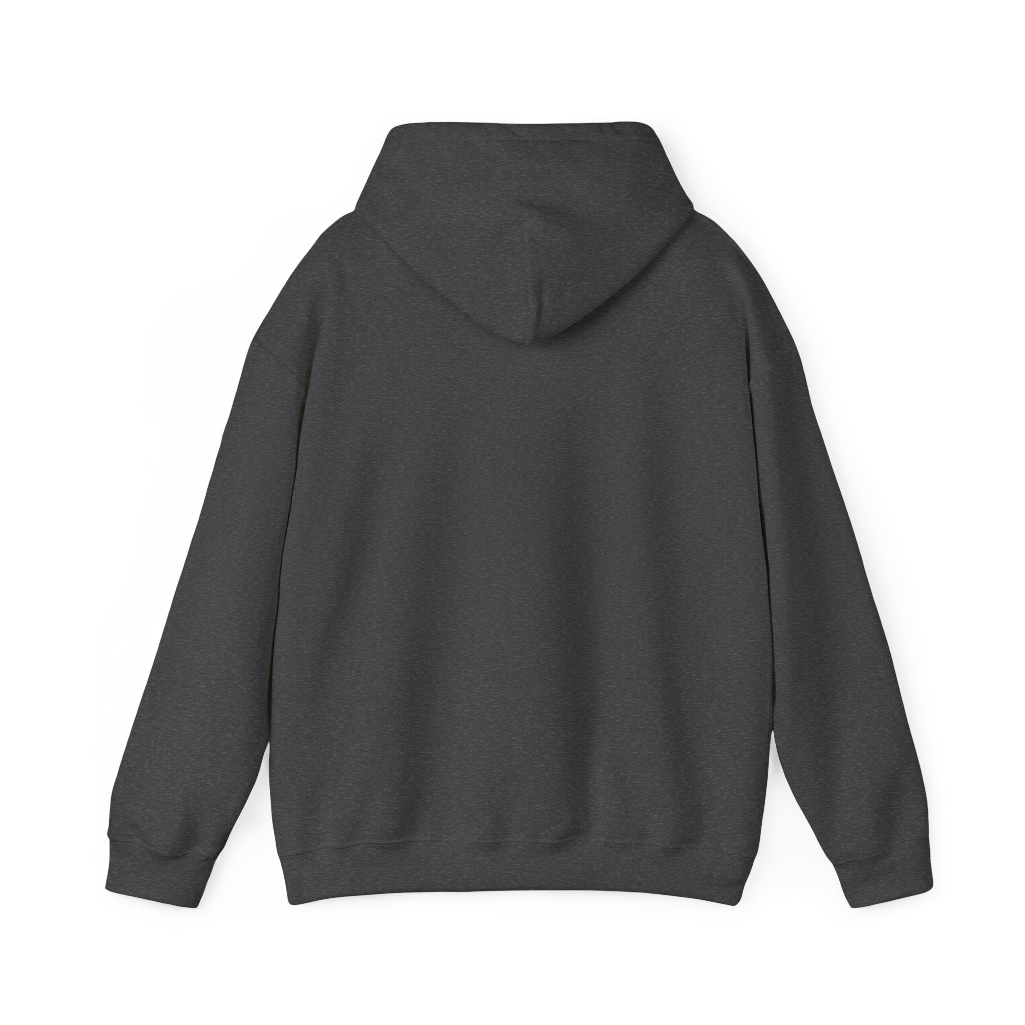 Unisex Heavy Blend™ Swinging 101 Hoodie
