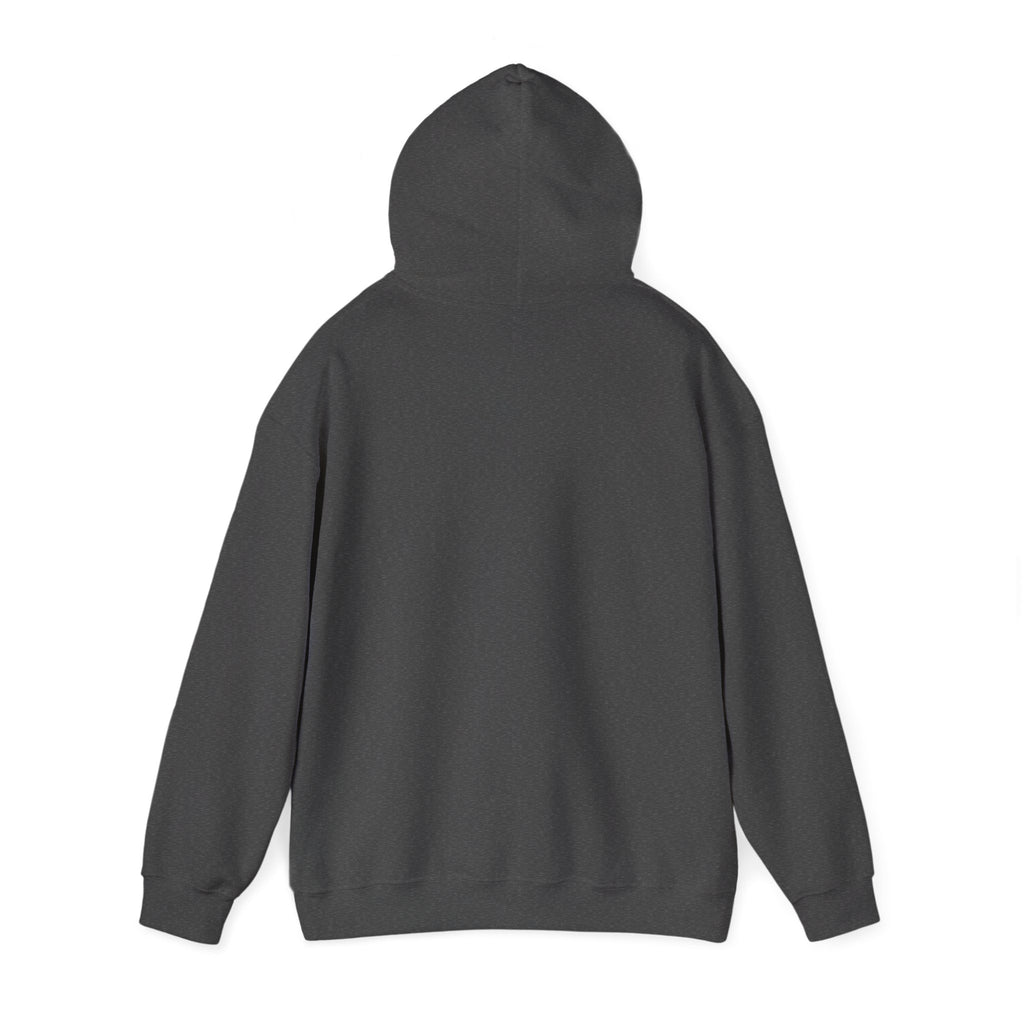 Unisex Heavy Blend™ Swinging 101 Hoodie