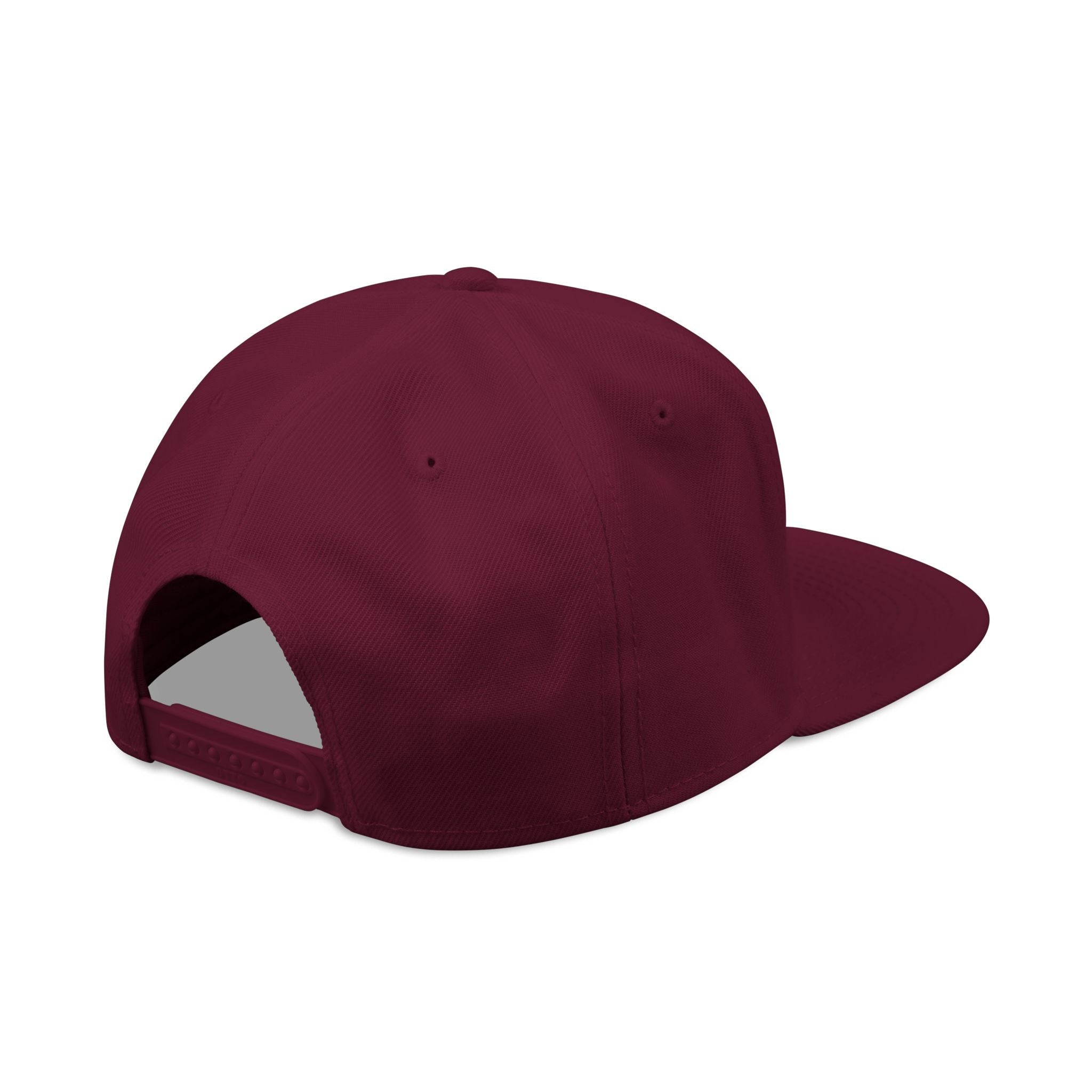 Embroidered Swinging 101 University Snapback Hat — Urban College-Style