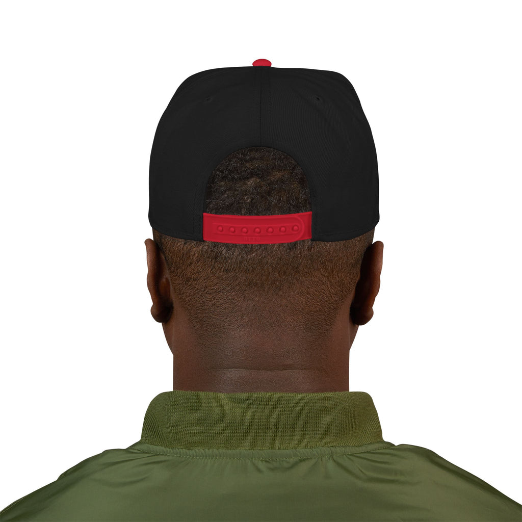 Embroidered Swinging 101 University Snapback Hat — Urban College-Style