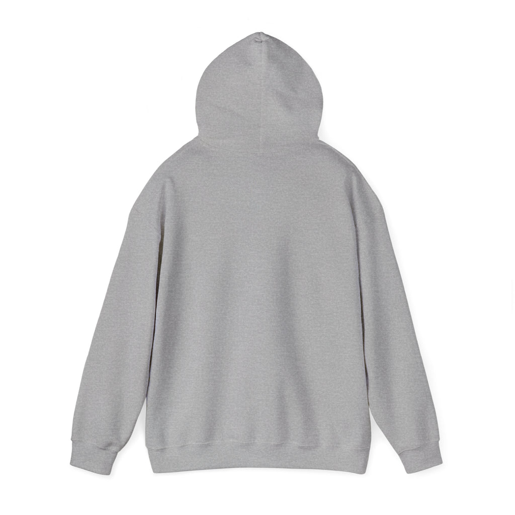 Unisex Heavy Blend™ Swinging 101 Hoodie