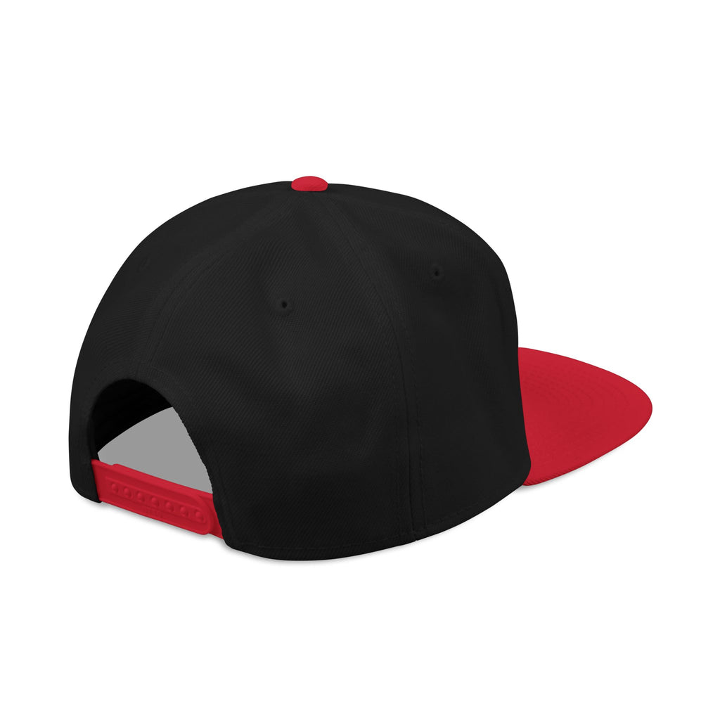 Embroidered Swinging 101 University Snapback Hat — Urban College-Style