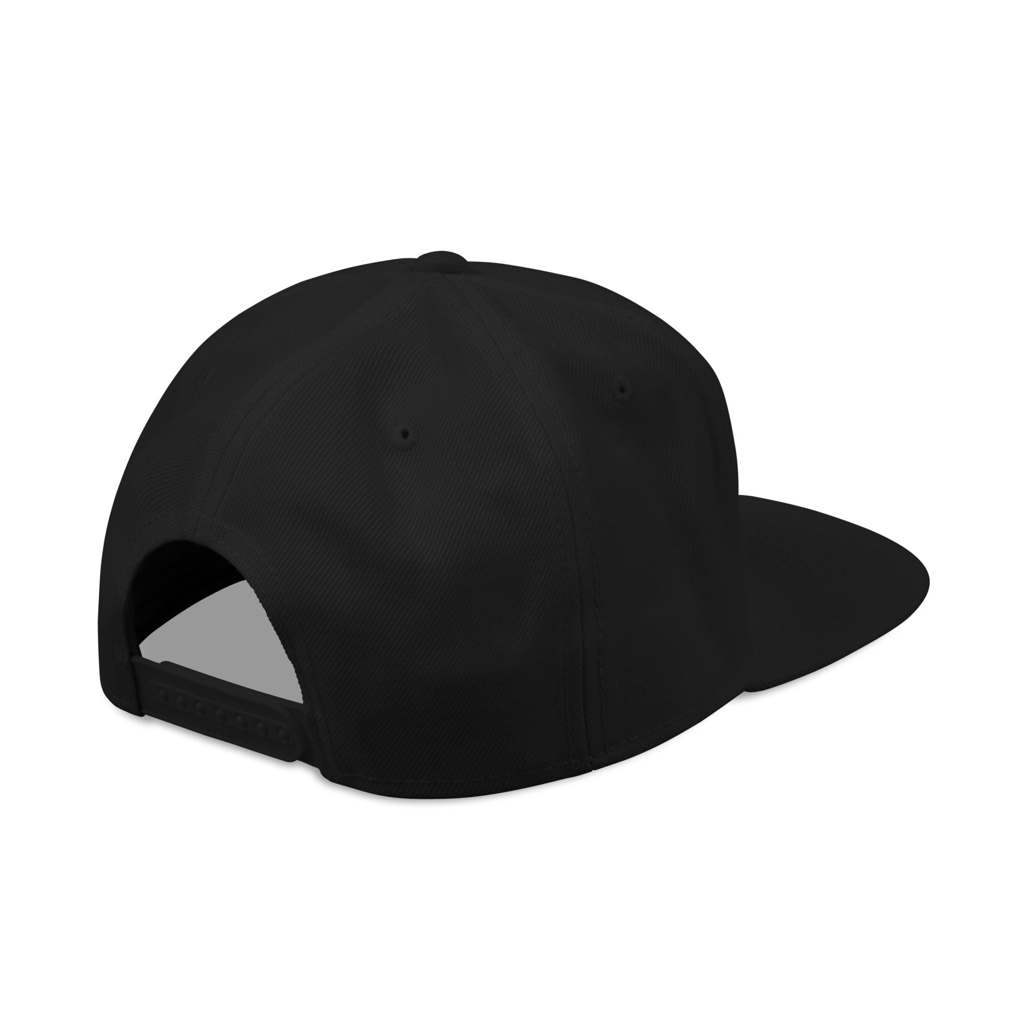 Embroidered Swinging 101 University Snapback Hat — Urban College-Style